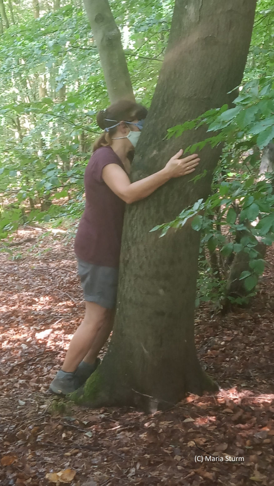 Wald erfahren mit allen Sinnen