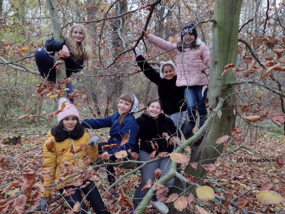 Jugendgruppe im Wald Walderlebnis