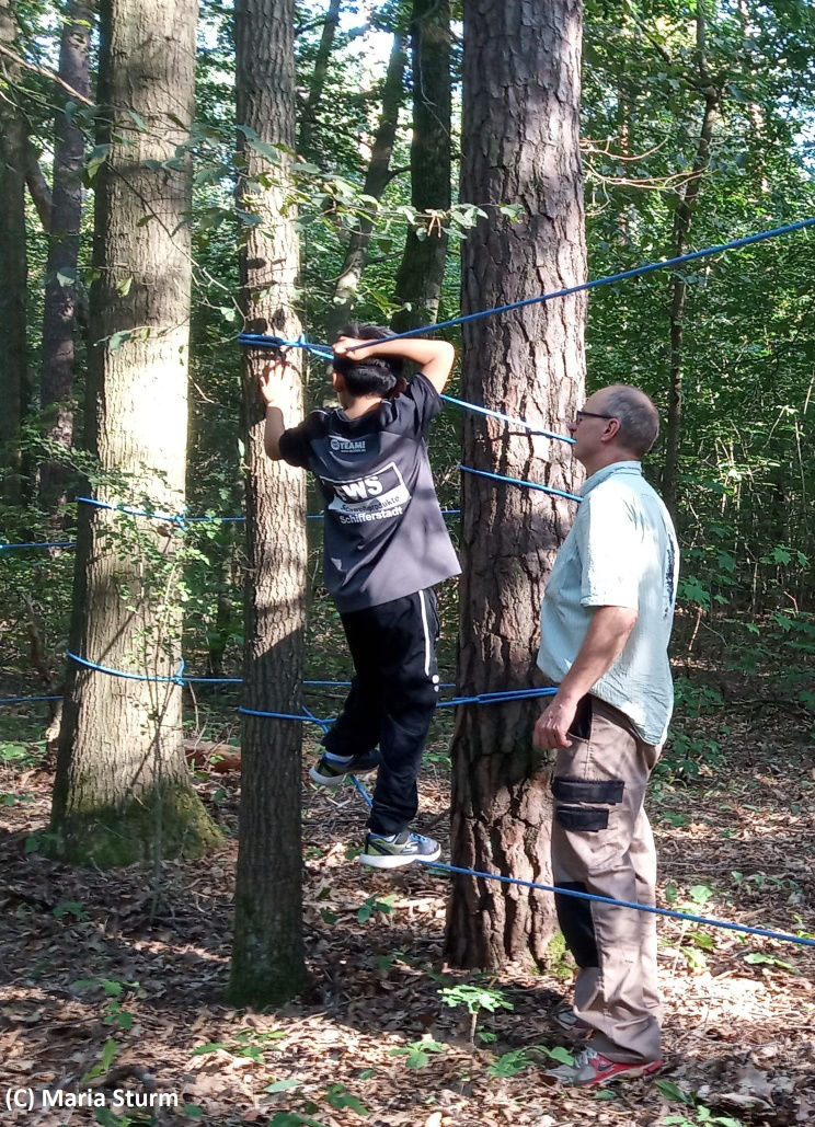 Wald erleben mit Sturm-im-Walde Niederseilklettern