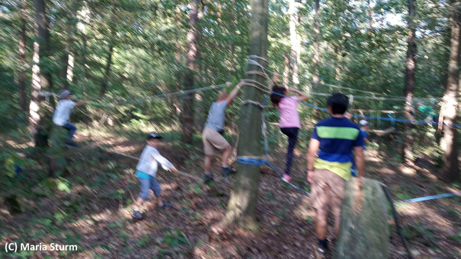 Grundschule im Wald